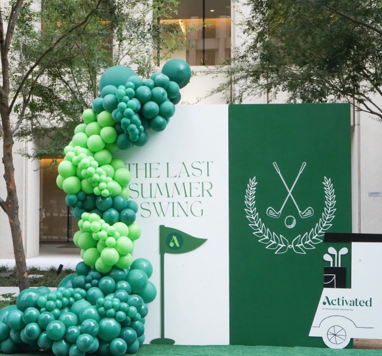 8x8 rectangular backdrop