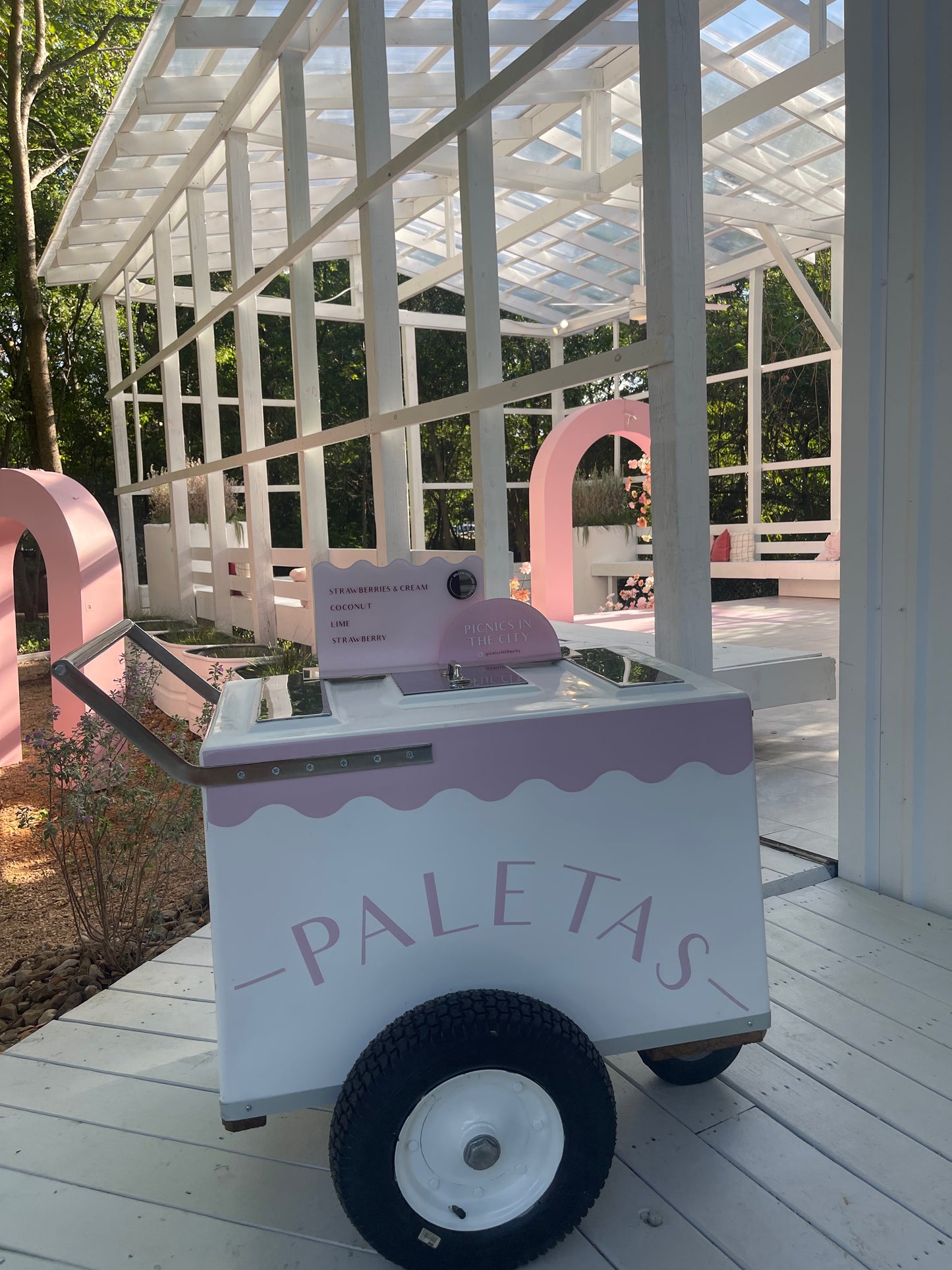 Paleta cart rental