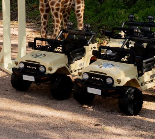 Kids Safari