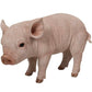 Small pig statue