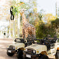 Kids safari cart